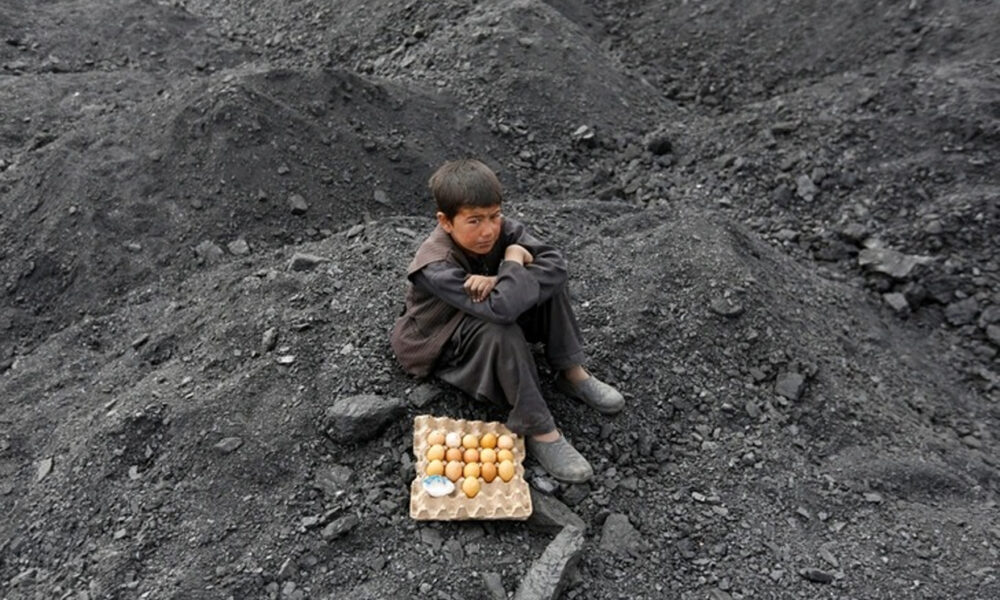 srdcervúce fotografie