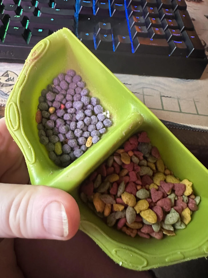 šialené fotografie