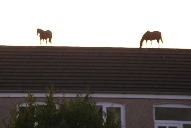 šialené fotografie