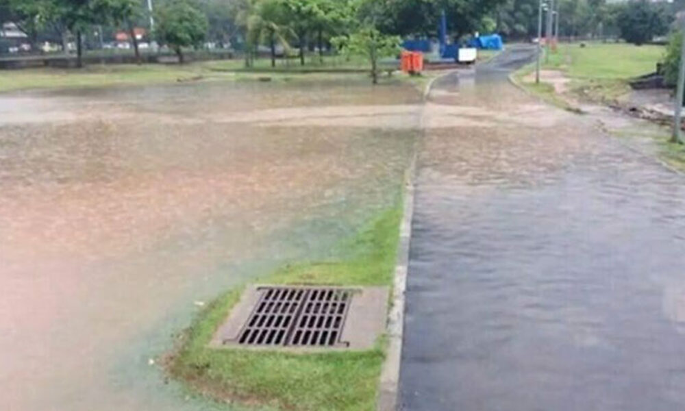 stavební robotníci