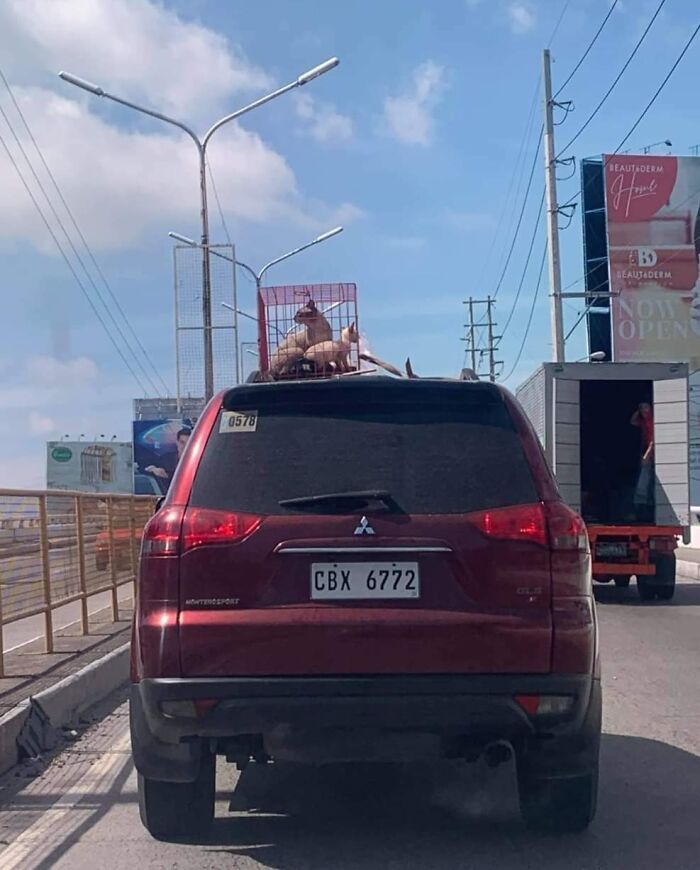 autá