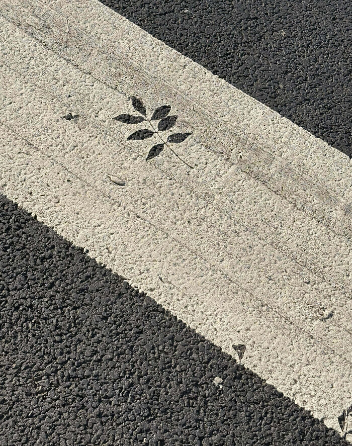 práca