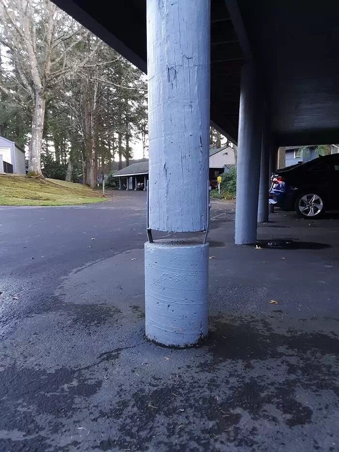 zdravý rozum