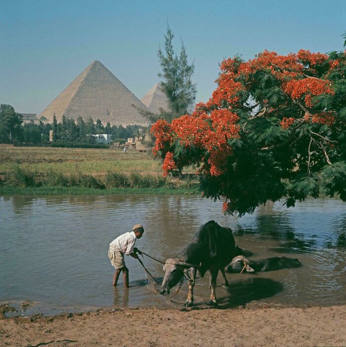 staroveký egypt