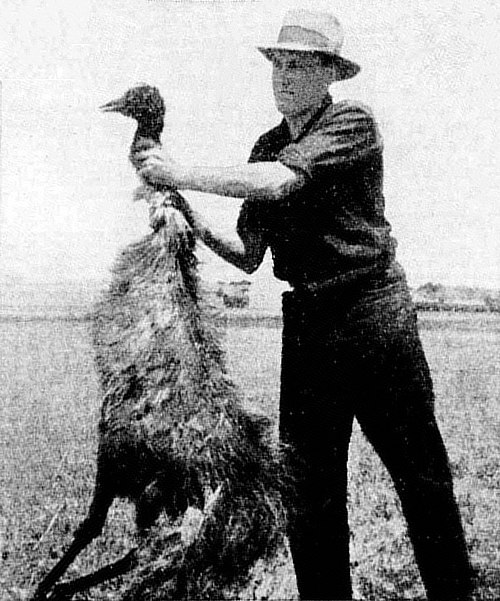 udalosti
