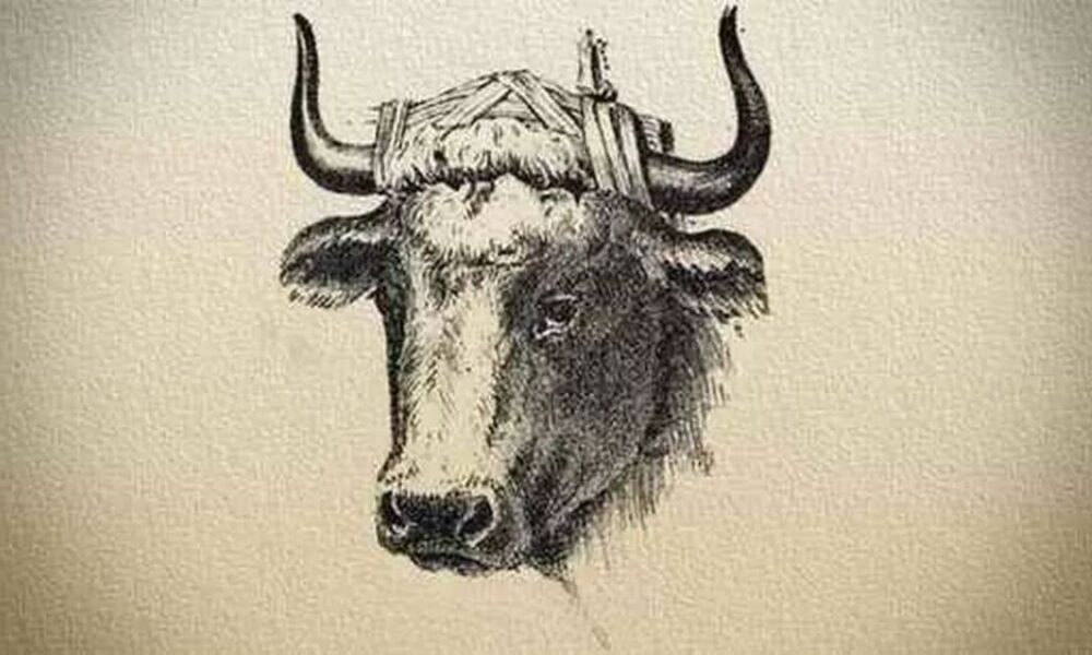ukrytý farmár