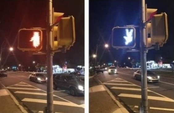 bizarné fotografie