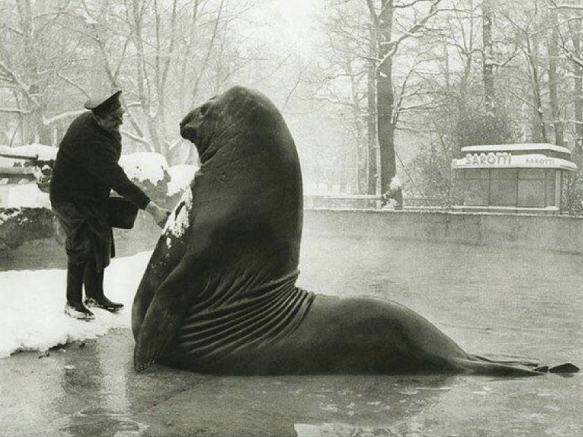 Bizarné historické fotografie