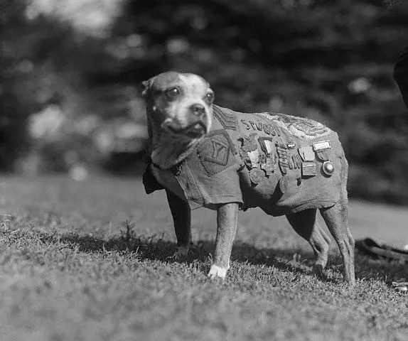 historické fotografie