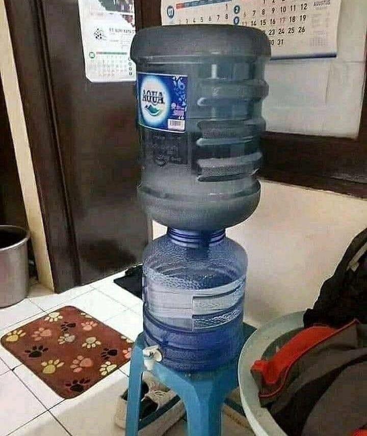 inteligencia
