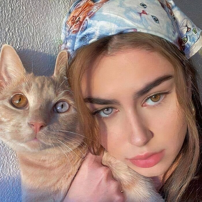majitelia