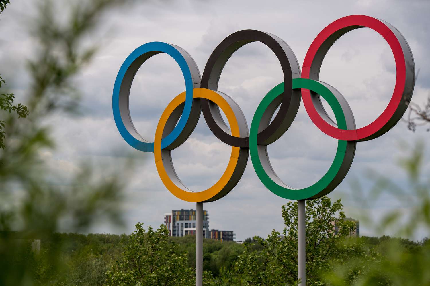 olympijské kruhy