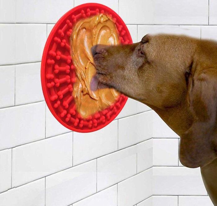 Photoshop