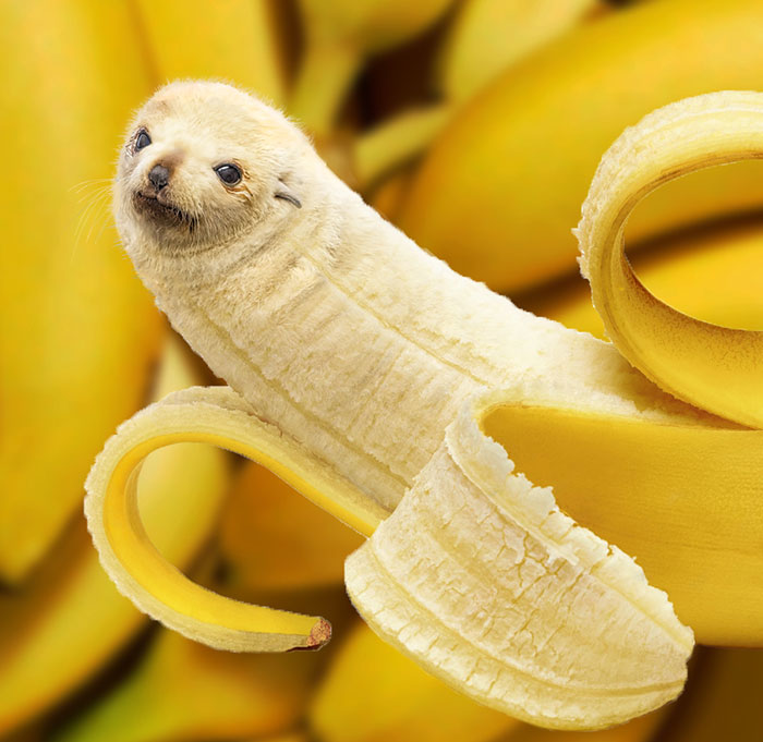 photoshop