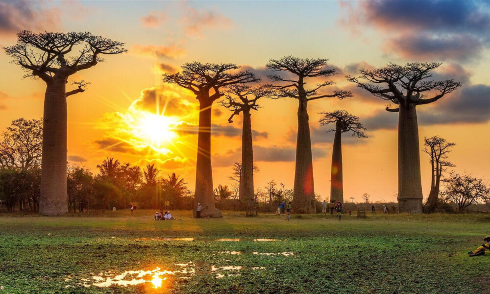 madagascar