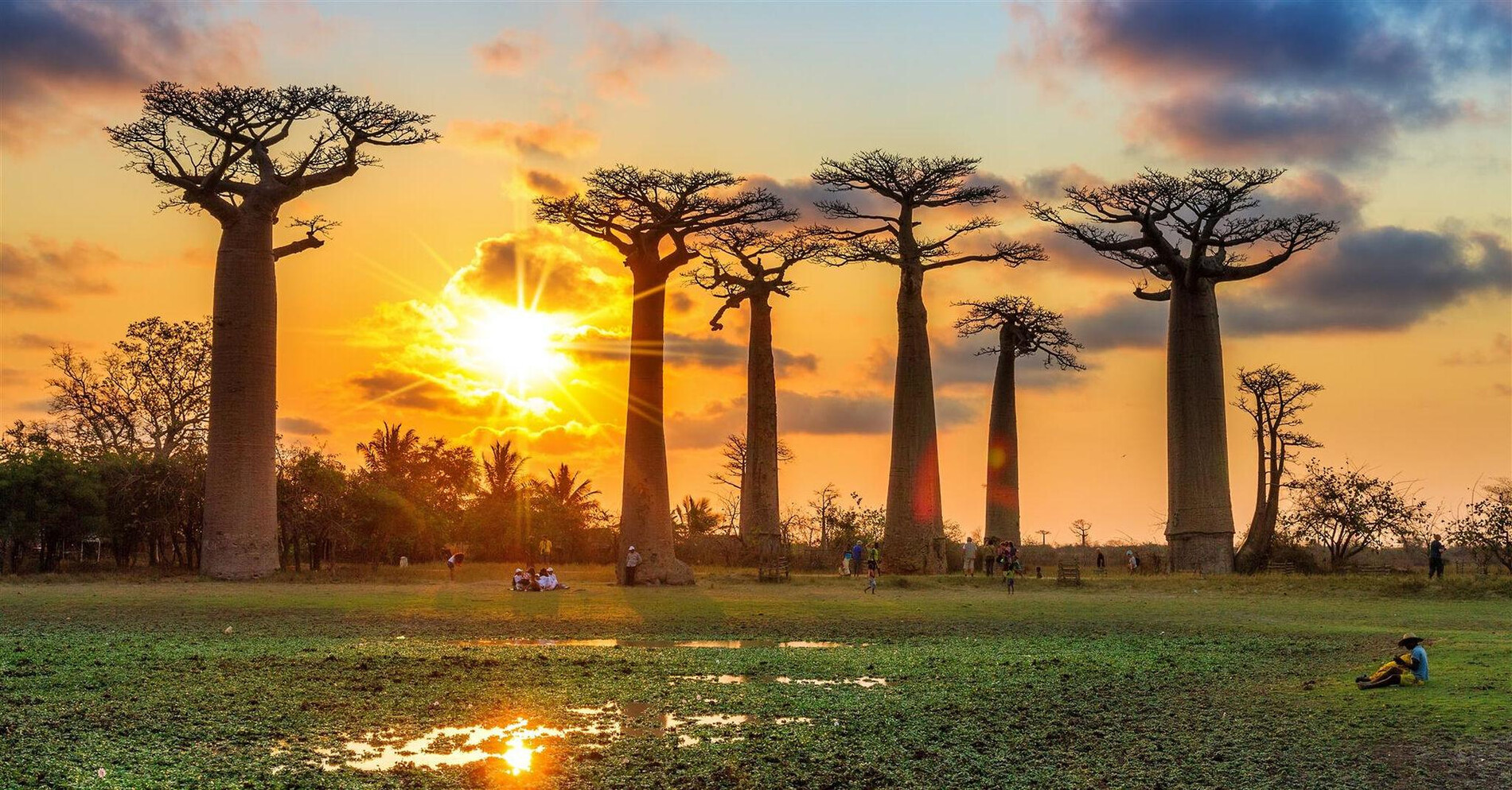 madagascar