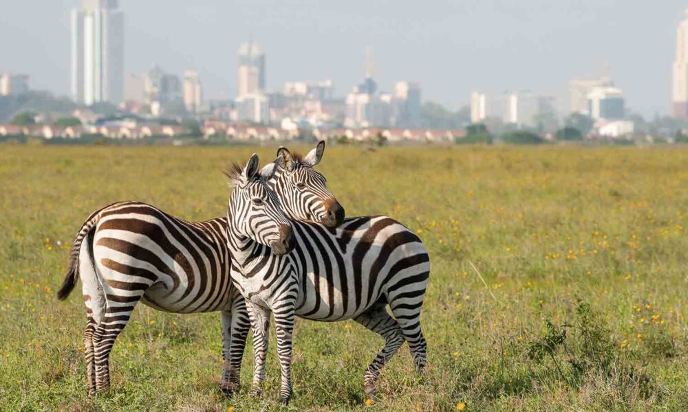 Nairobi