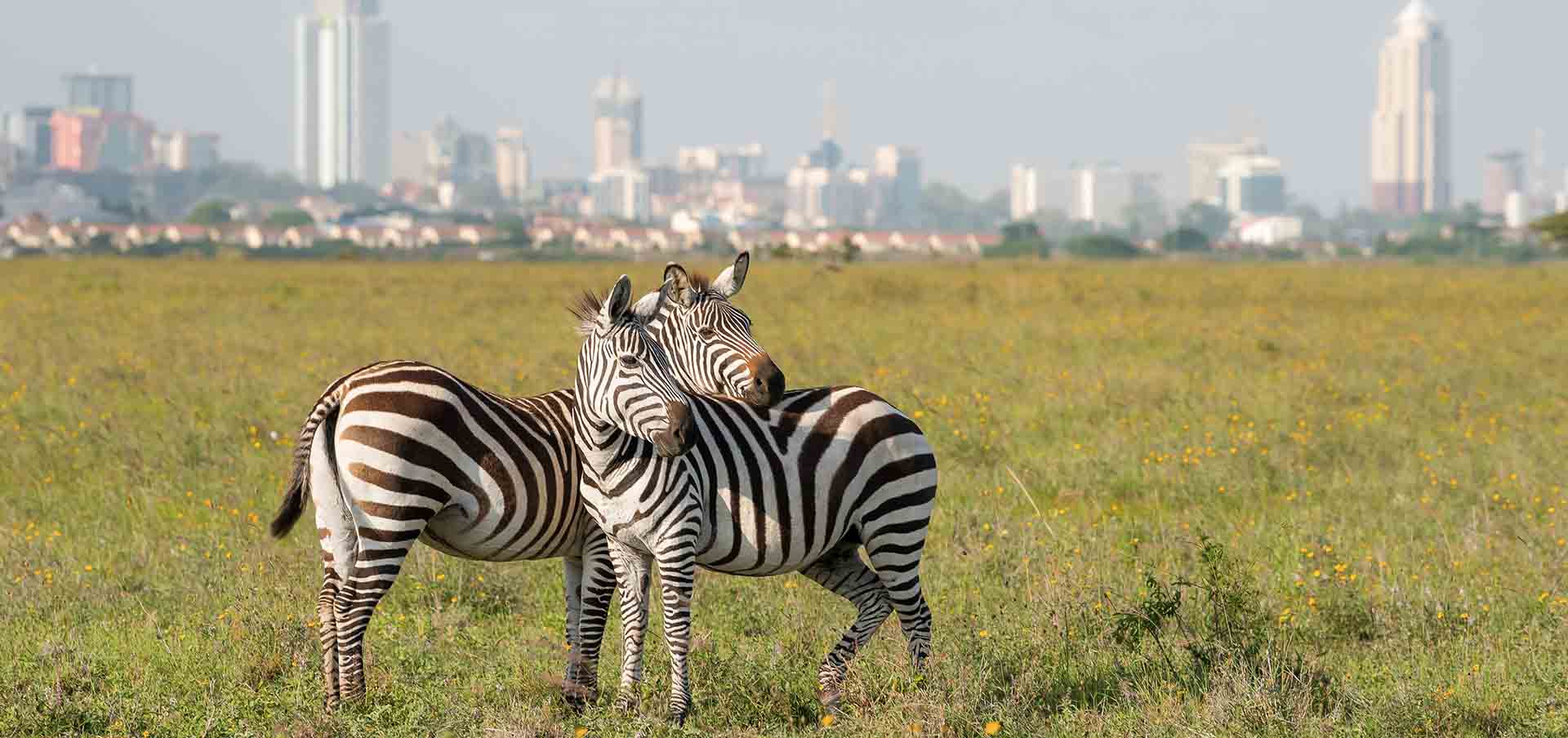 Nairobi