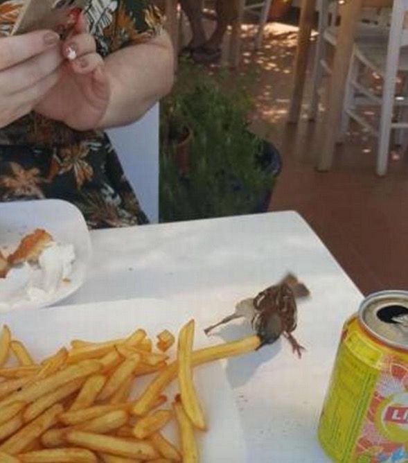 Správne načasované fotografie