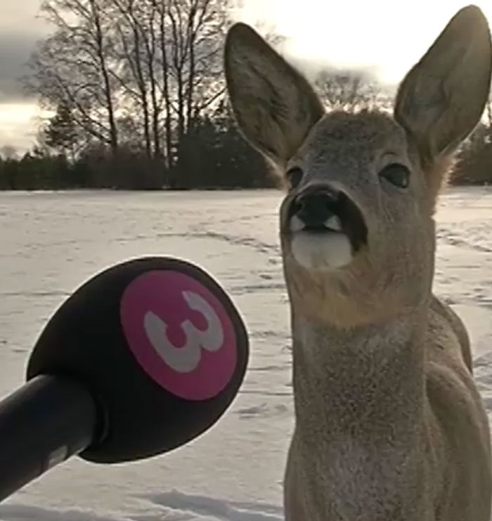 stres