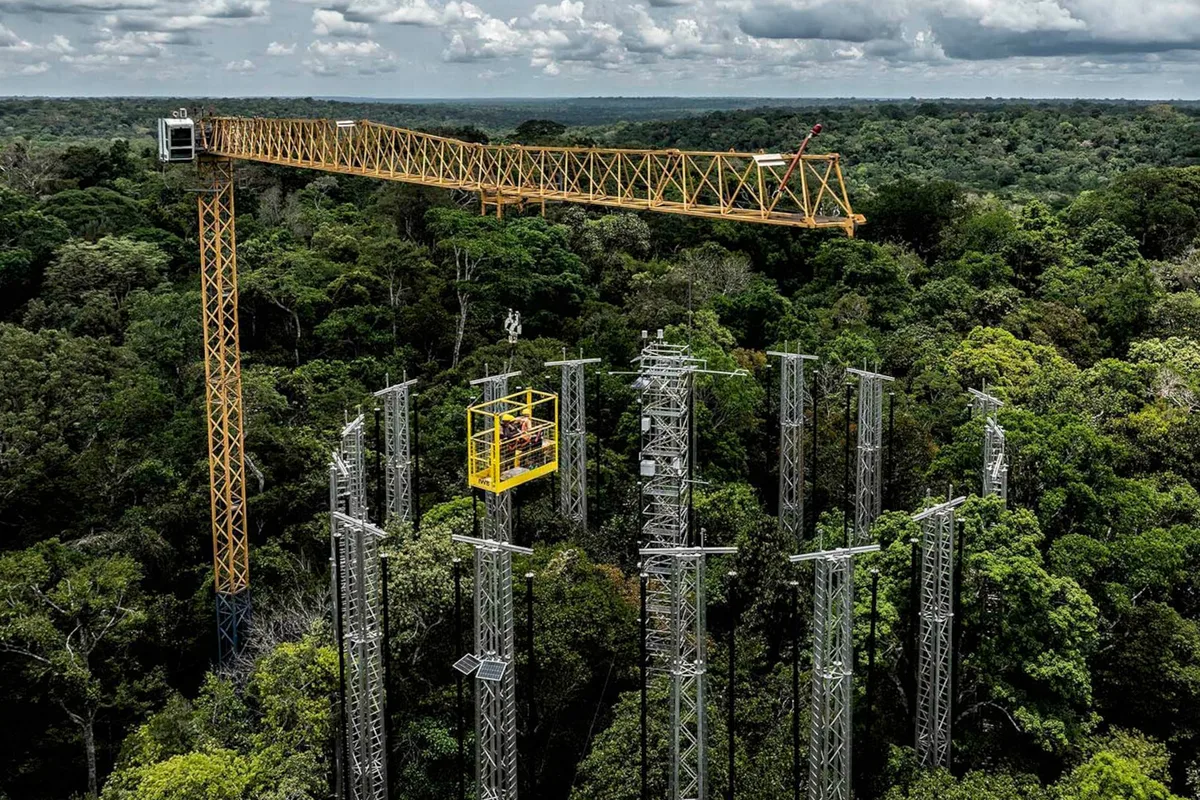 Amazonský dažďový prales