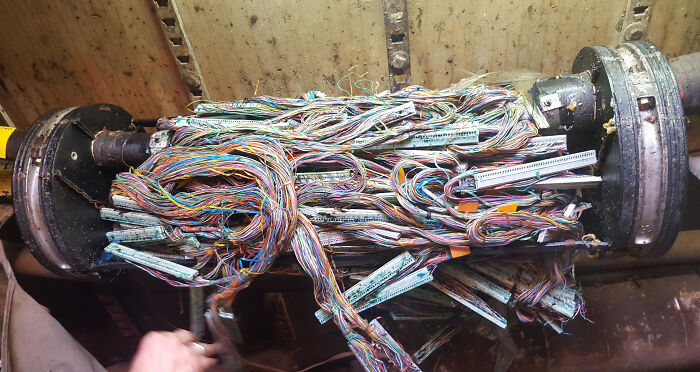 elektronika