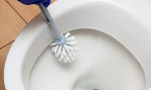 čistenie toalety