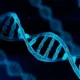 tmavá DNA